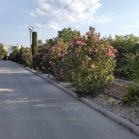 Mobile Dalmacija